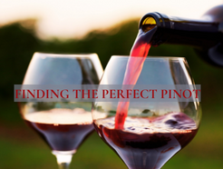 The Full Spectrum of Pinot Noir