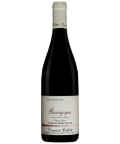2021 Domaine Collotte 'Noble Souche' Bourgogne Rouge