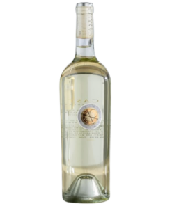 2024 Castiel Sauvignon Blanc Napa Valley