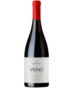 2019 De Martino 'Vigno' Carignan Maipo Valley